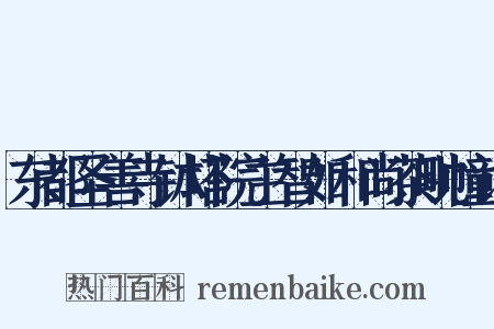 东都圣善寺钵塔院主智如和尚茶毗幢记是什么意思的图片